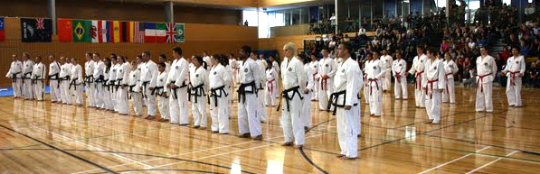 International Taekwon-Do Class
