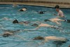 Thumb for IMG_4693.jpg (40 
KB)
